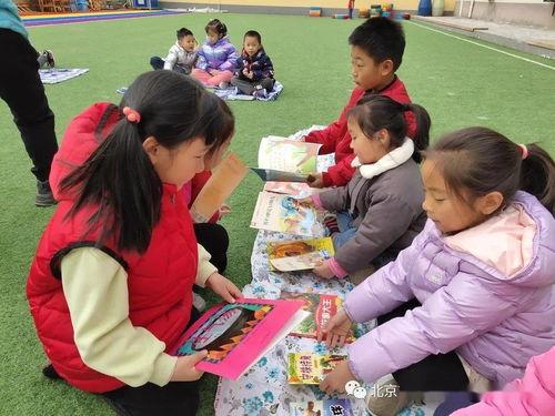 跳蚤阅读在线视频,探索知识海洋的在线视频之旅